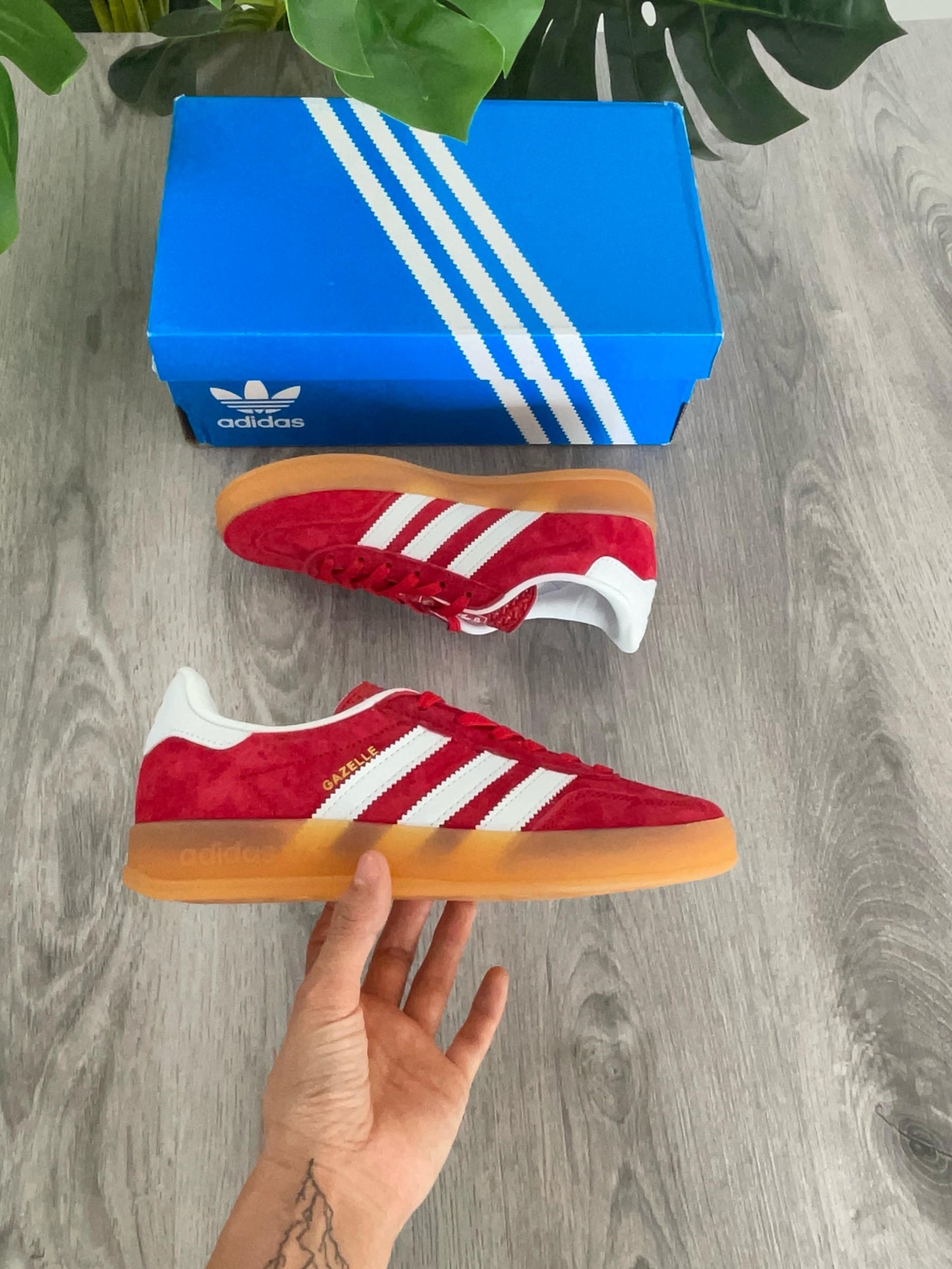 Gazelle Red Strawberry