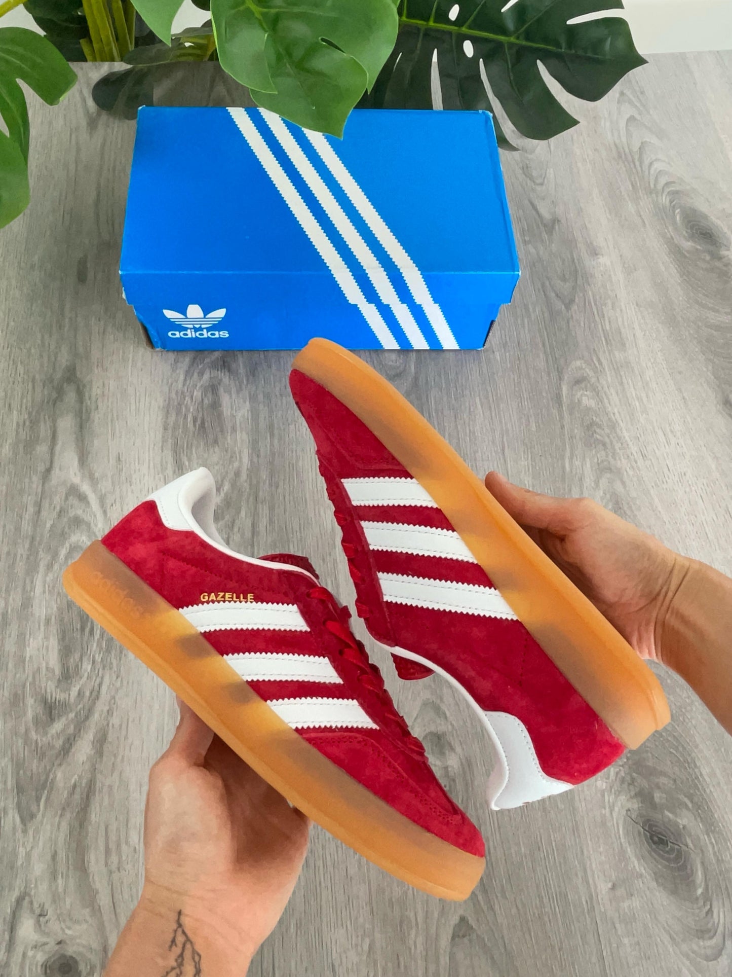 Gazelle Red Strawberry