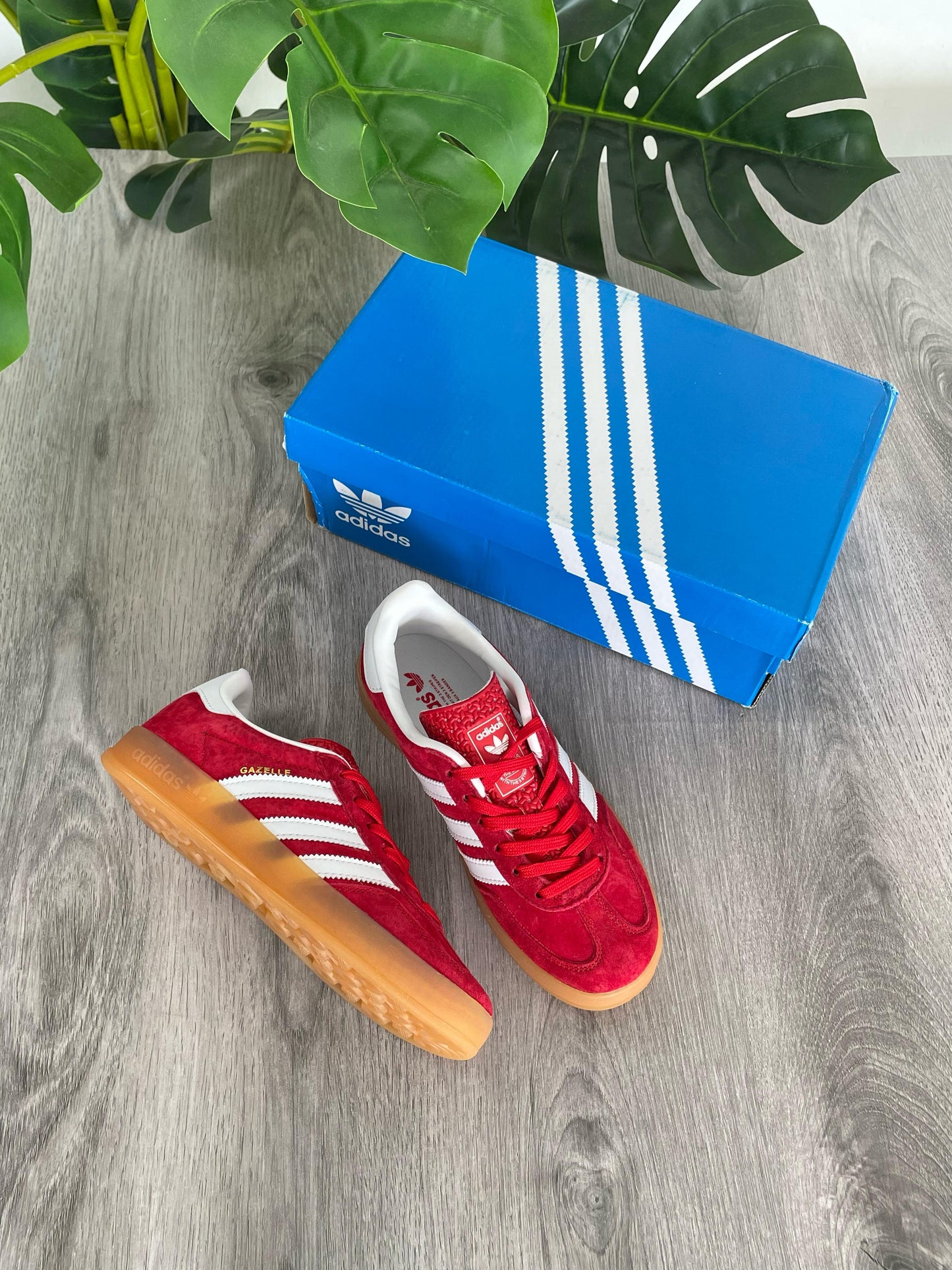Gazelle Red Strawberry