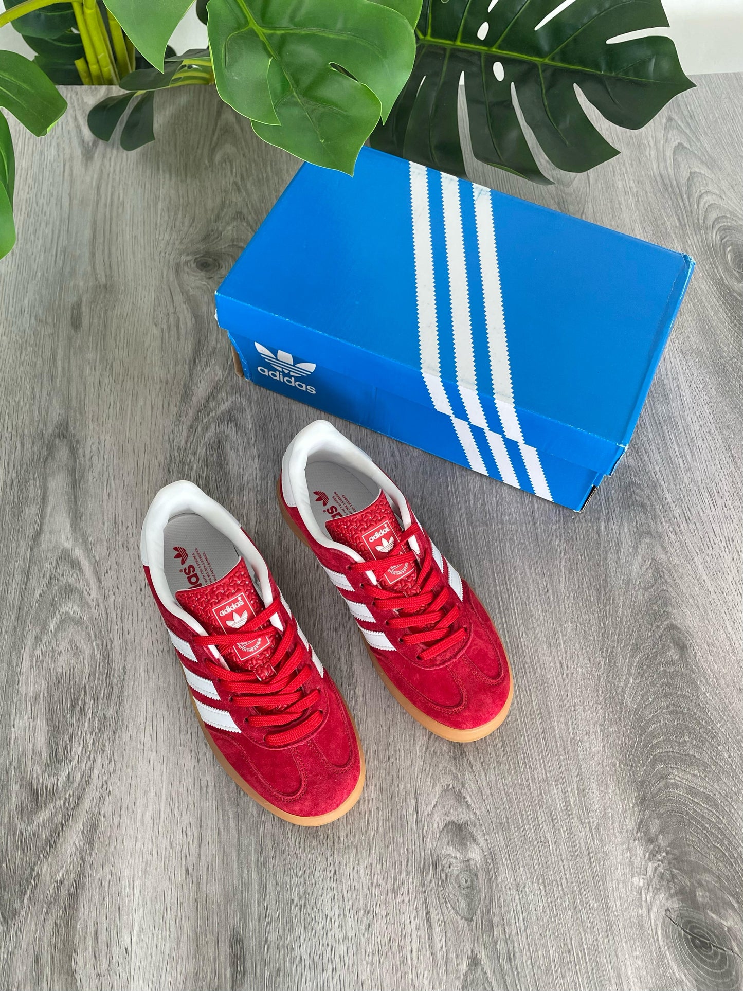 Gazelle Red Strawberry