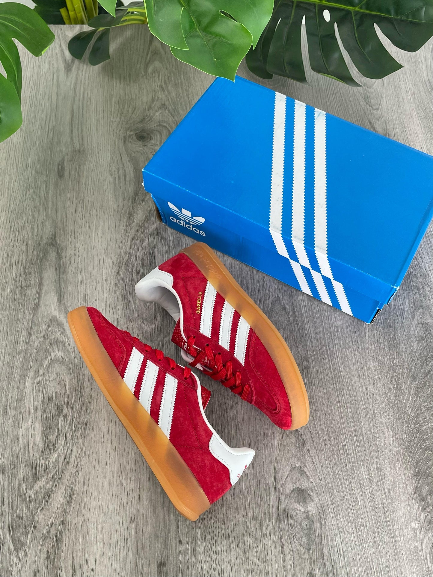 Gazelle Red Strawberry