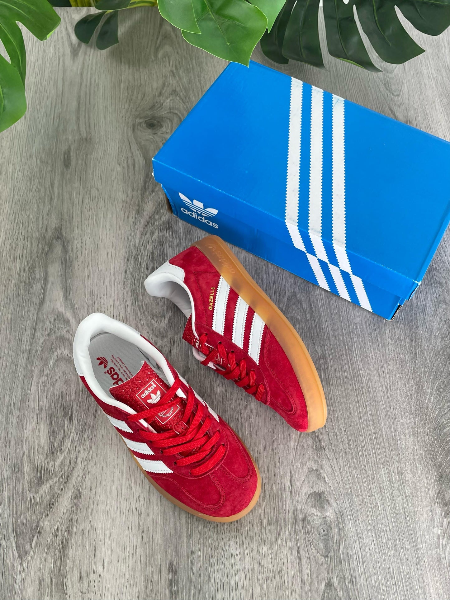 Gazelle Red Strawberry