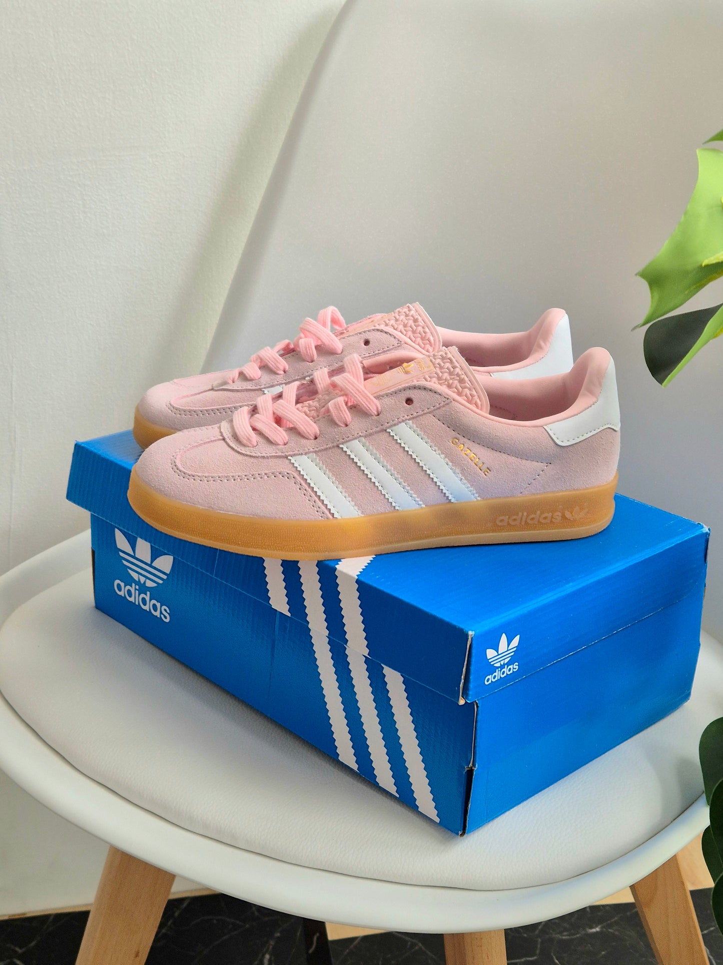 Gazelle Sandy Pink