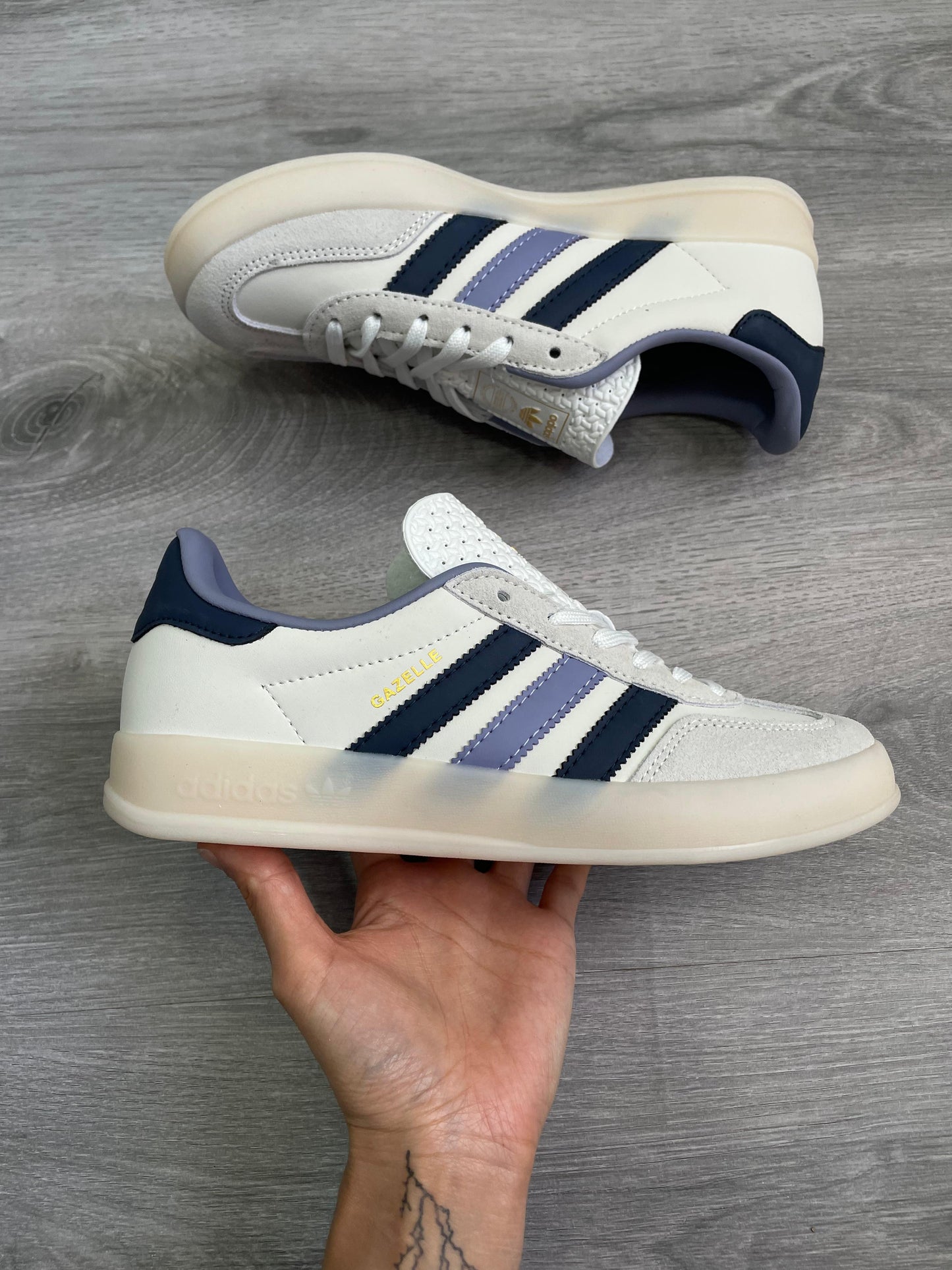 gazelle indoor purple