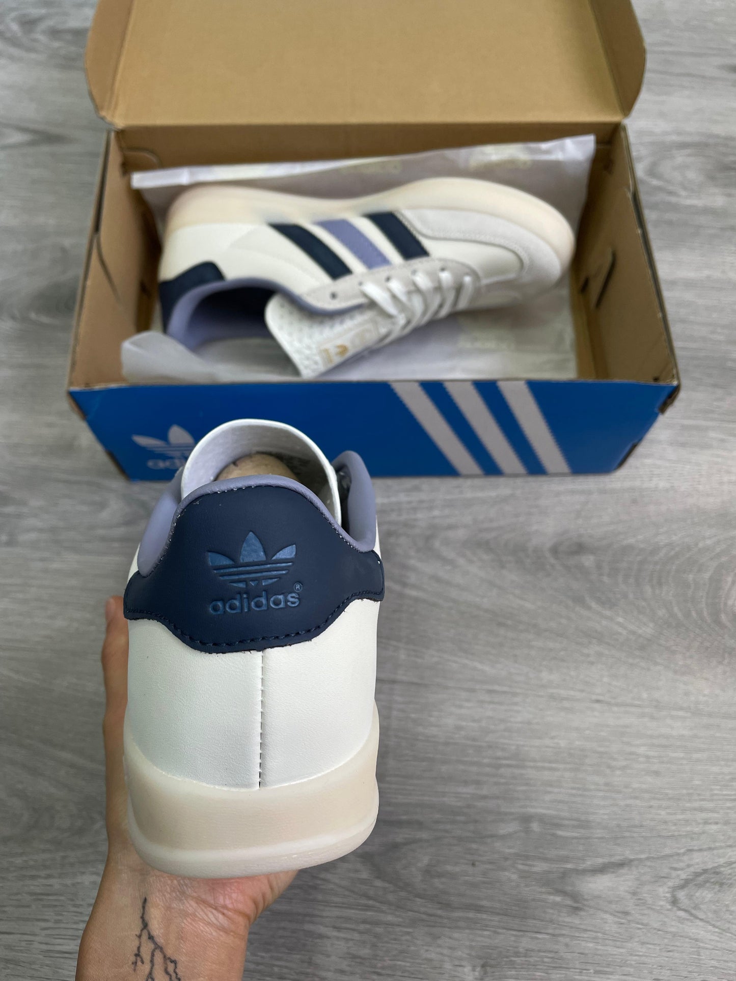 gazelle indoor purple