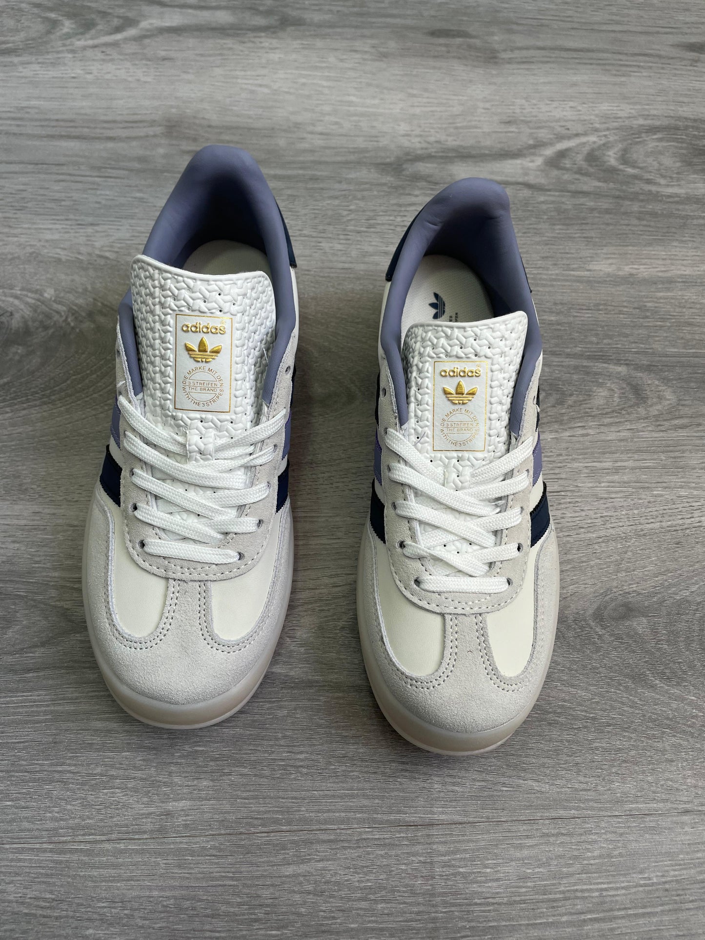 gazelle indoor purple