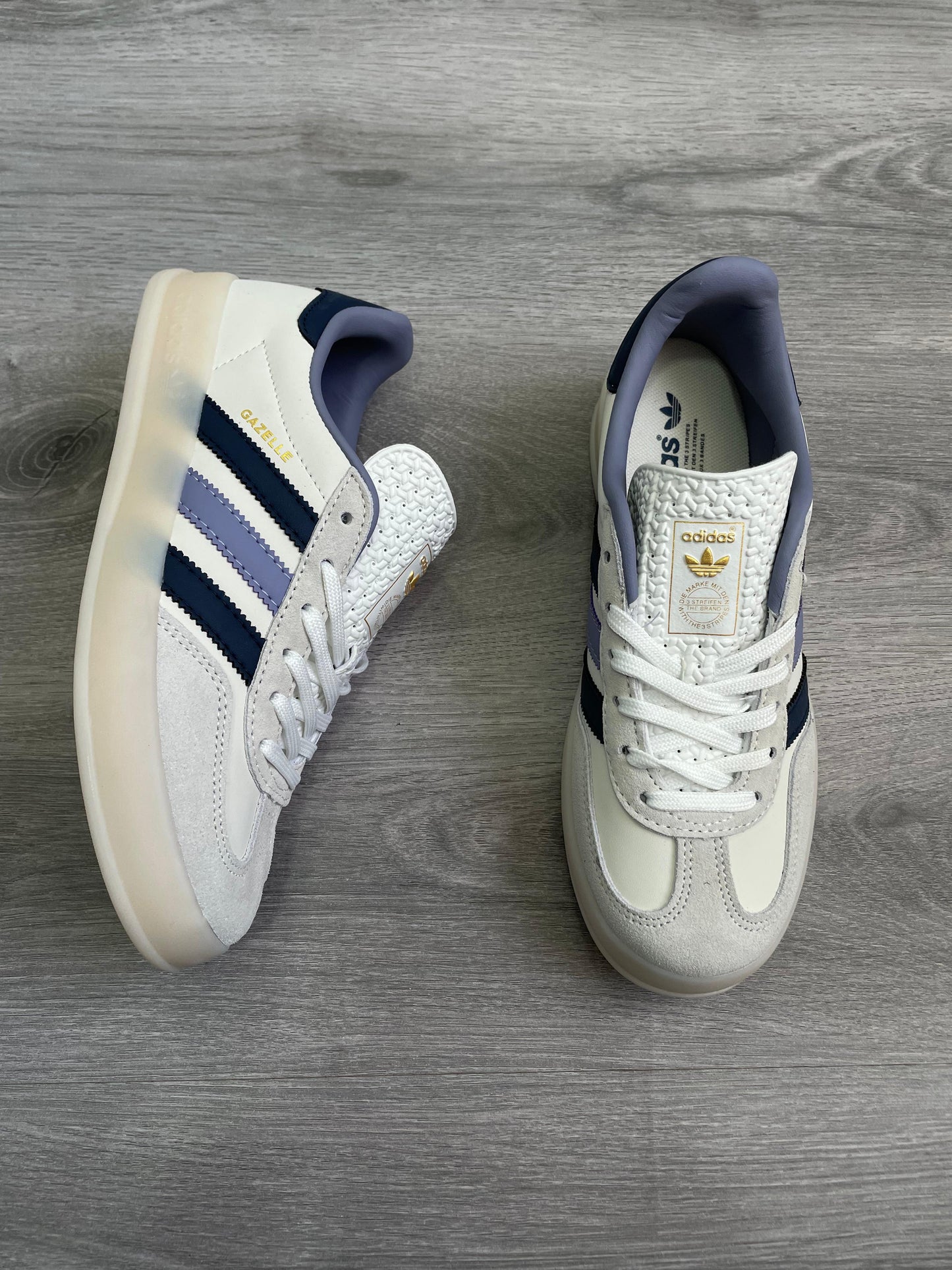 gazelle indoor purple