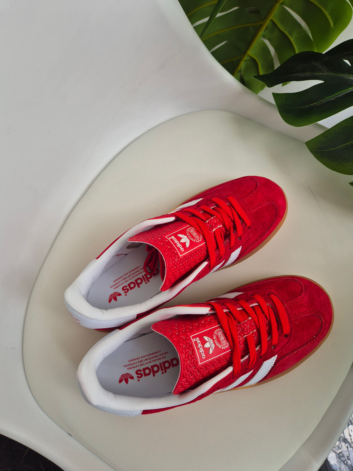 Gazelle Red Strawberry